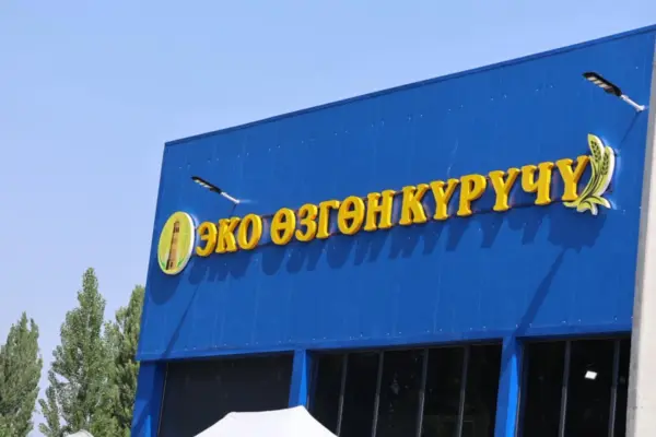 716975261 122213510726368081 5040201607570016694 n